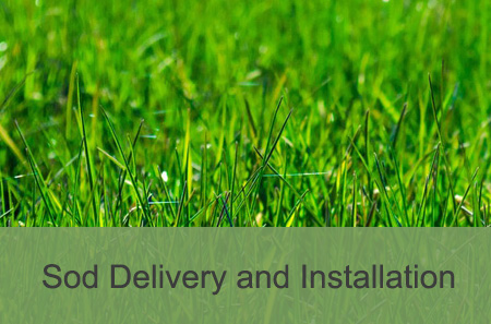 curb appeal | CurbPro | Sod Delivery And Installation 